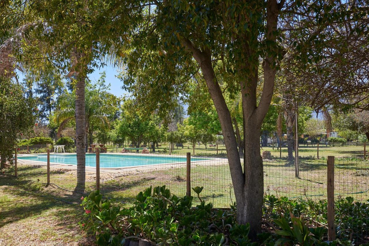 סיטרוסדאל Citrus Creek Chalets מראה חיצוני תמונה